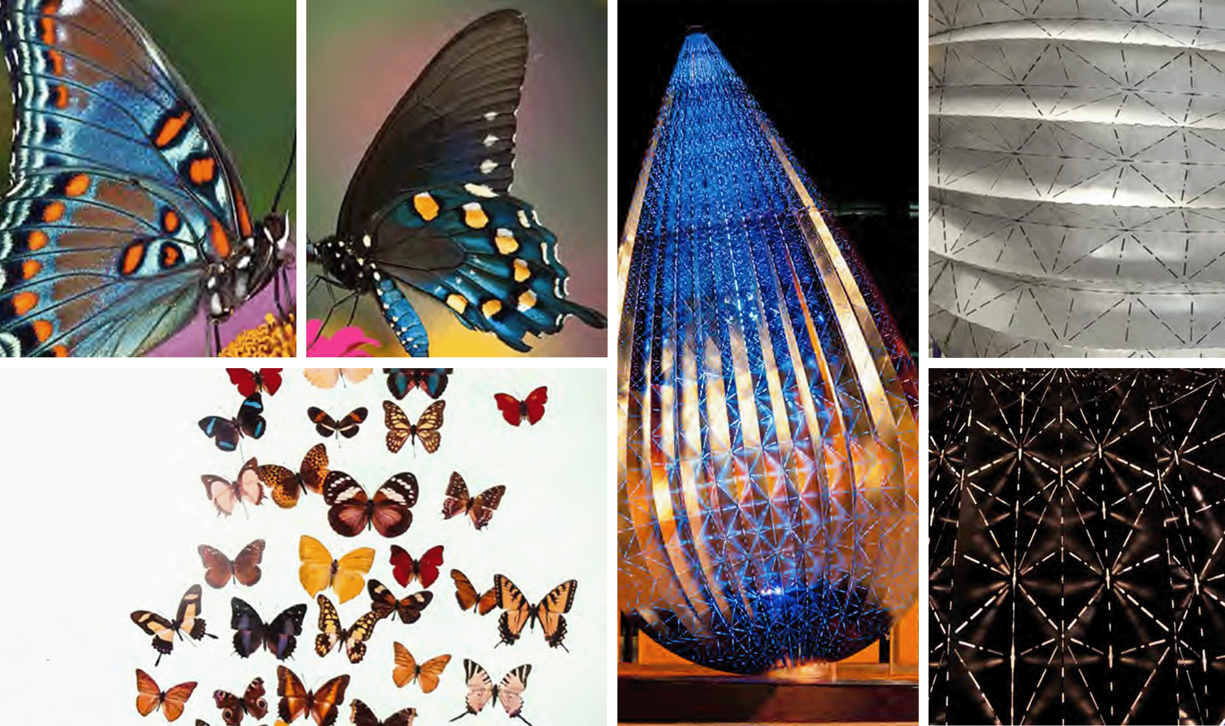 アート・デザイン・音楽 Laura Van Severen Land. Yu-Wen Wu - MCD